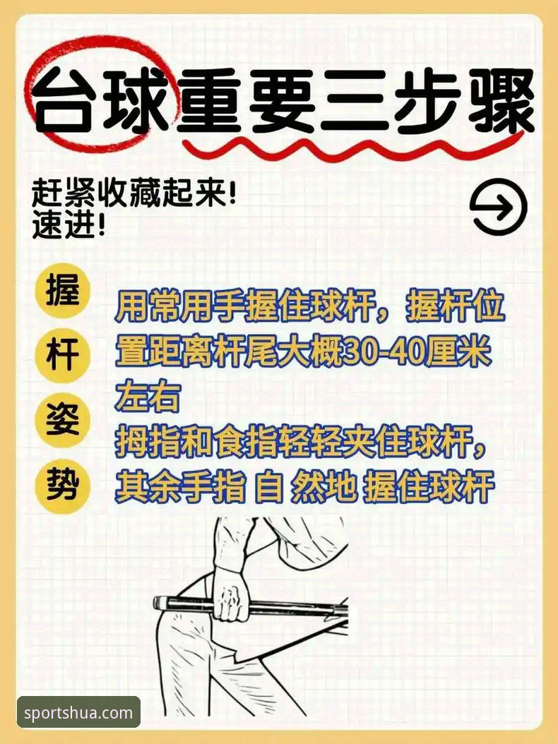 华体育专属服务深度解析：从入门到精通的完整操作指南